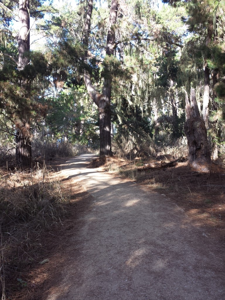 Point Lobos-Hiking-Path