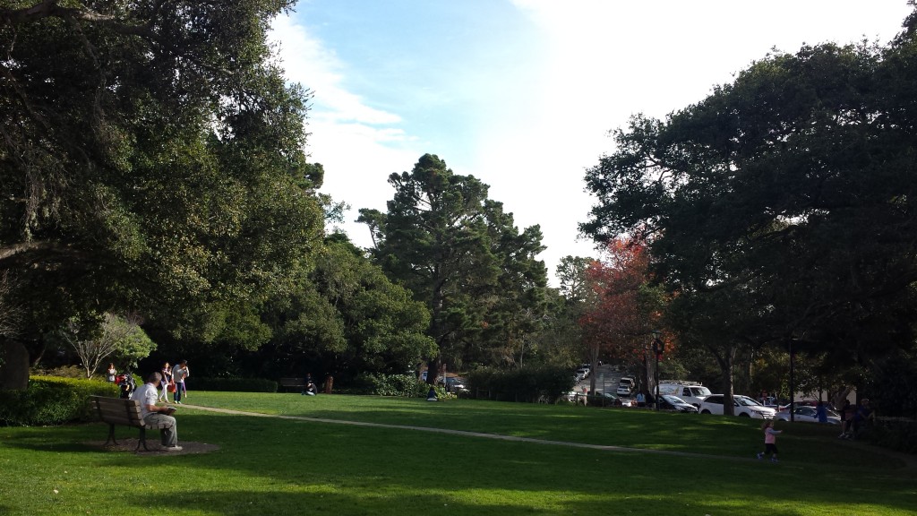 Carmel-Park