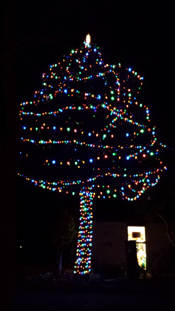Carmel-Christmas-Tree