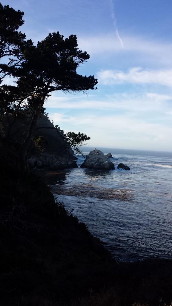 Point-Lobos-Water