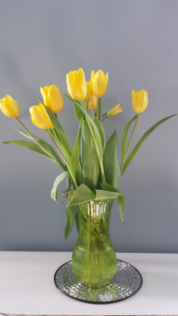 Tulips-Still