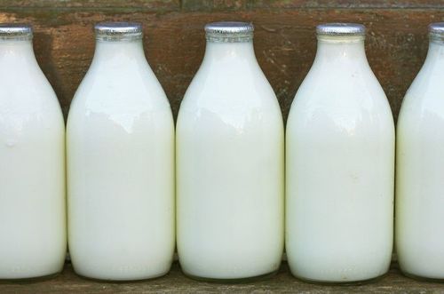 A Milk Love Story